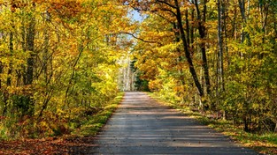 26.10.2020 00:00 Październikowy spacer wśród natury