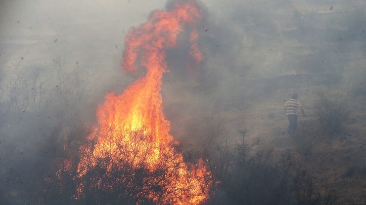 Katastrofalne pożary lasów szaleją w Chile. Wzrósł bilans ofiar