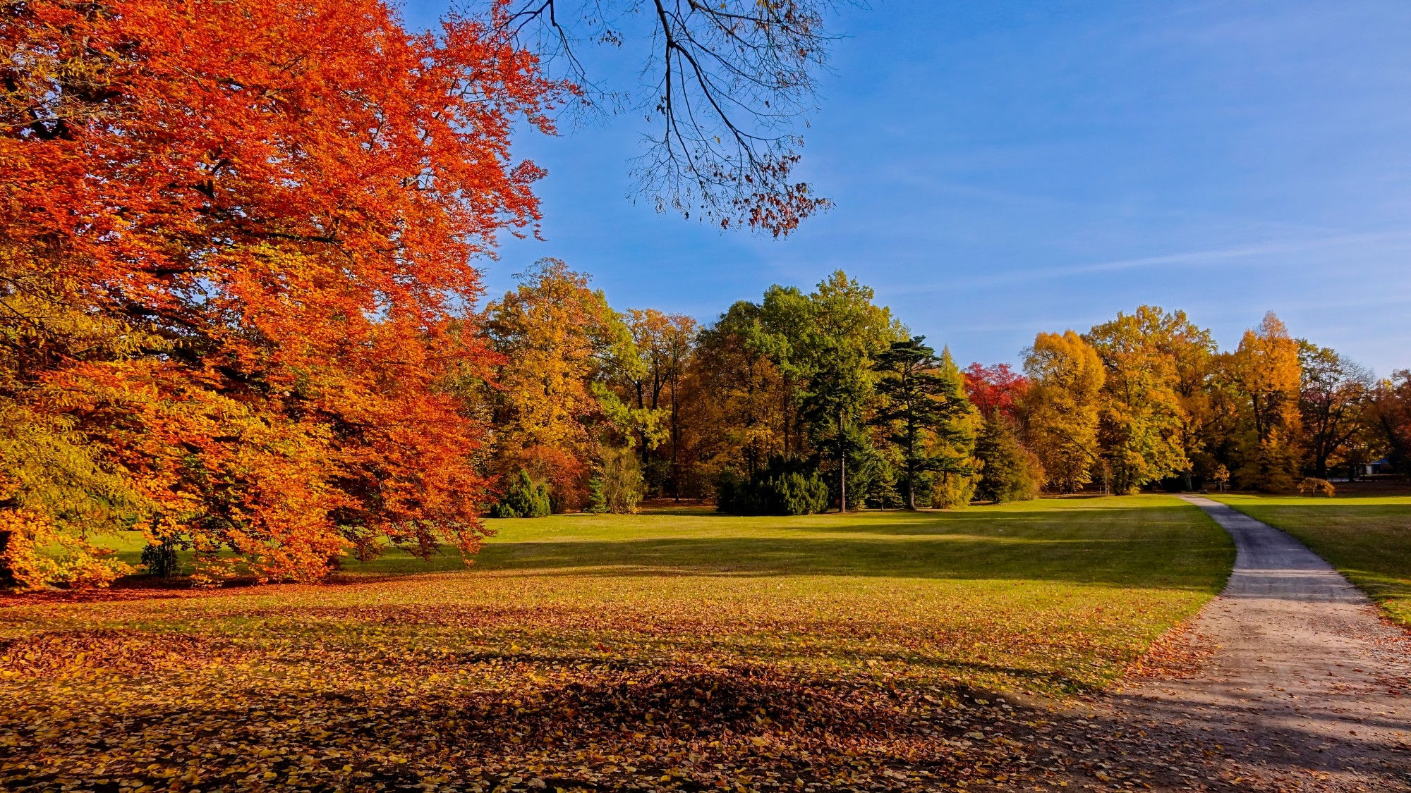 Kraina jesieni - zdjęcie 6