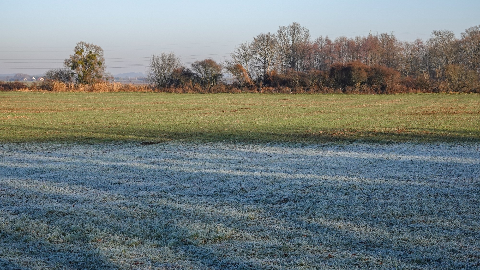 Szron pod lupą - zdjęcie 40