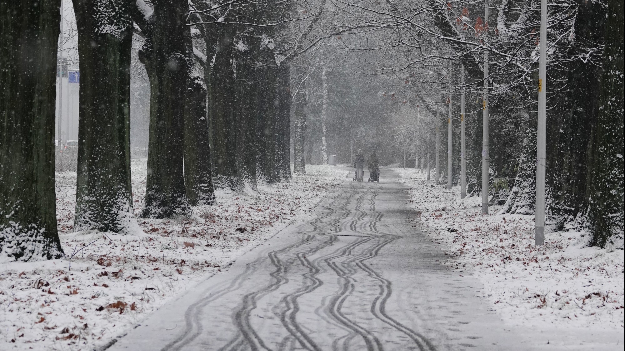 Oblicza zimy - zdjęcie 26