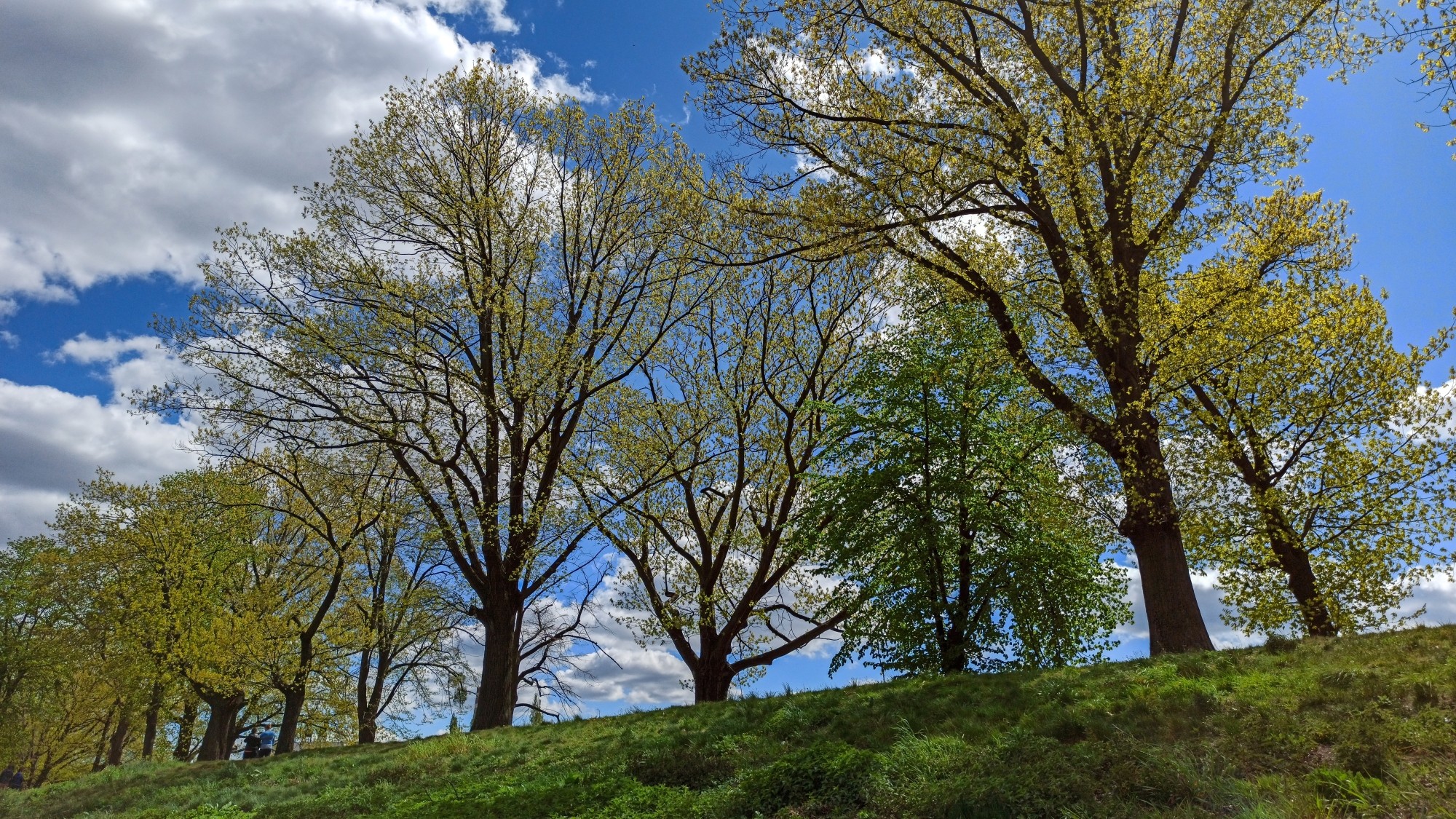 Kwiecień w obiektywie - zdjęcie 24