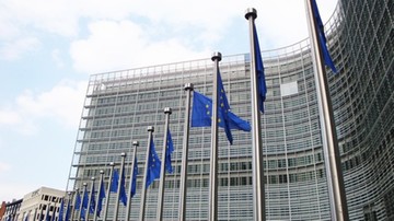 Komisja PE za zniesieniem wiz dla obywateli Gruzji i Kosowa