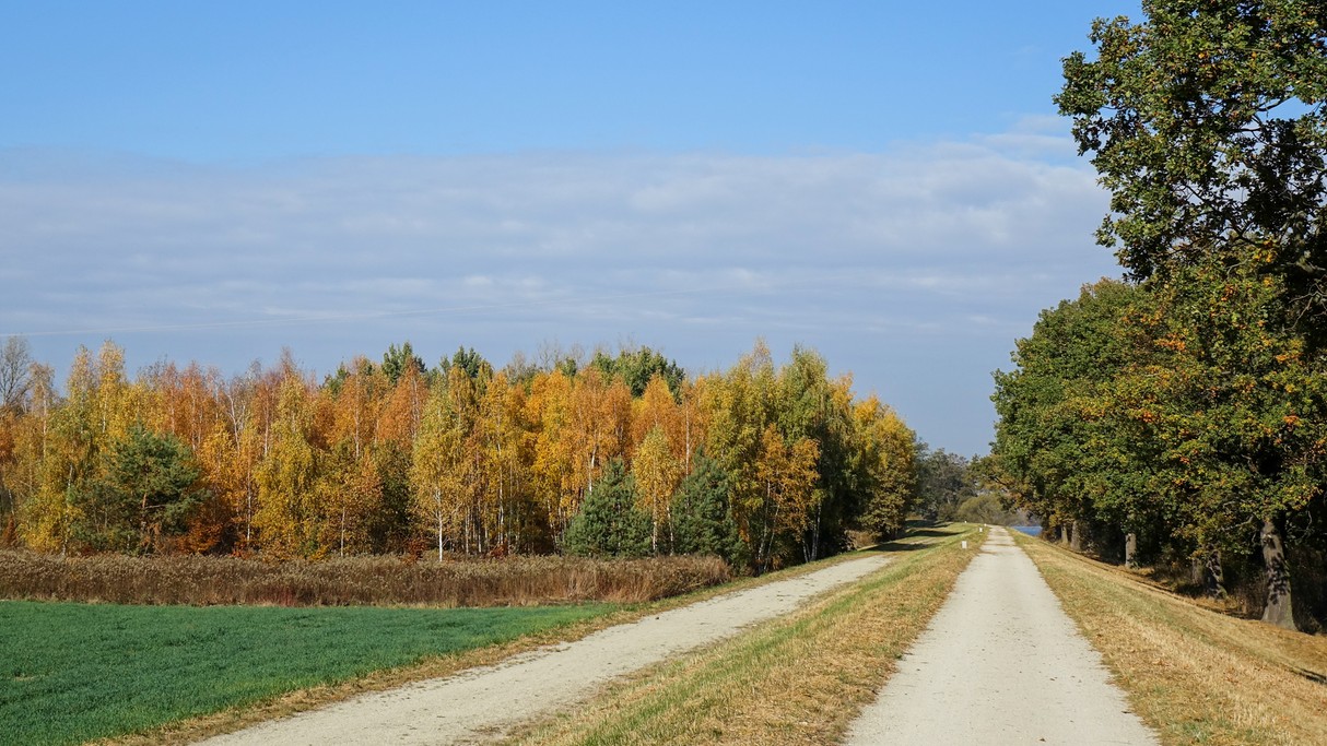 Październik w obiektywie - zdjęcie 63