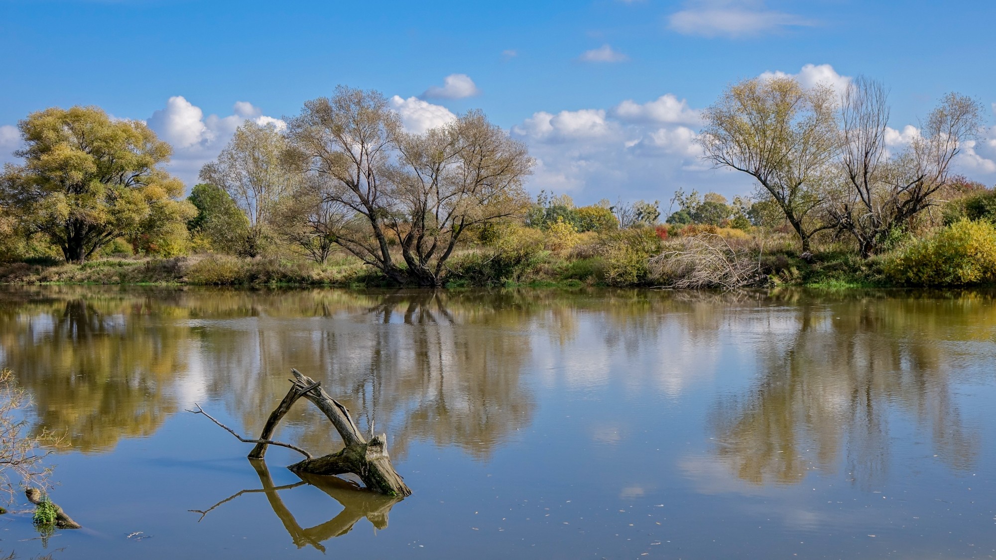 Wypoczynek nad wodą - zdjęcie 12