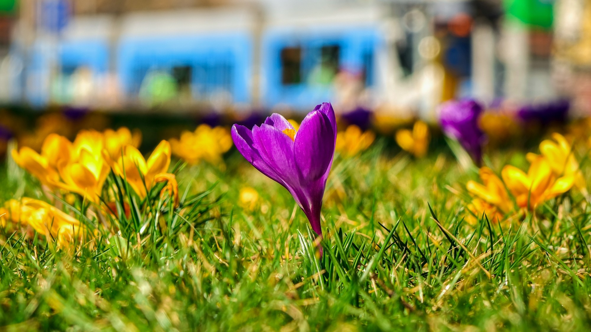 Wiosenna pobudka - zdjęcie 31