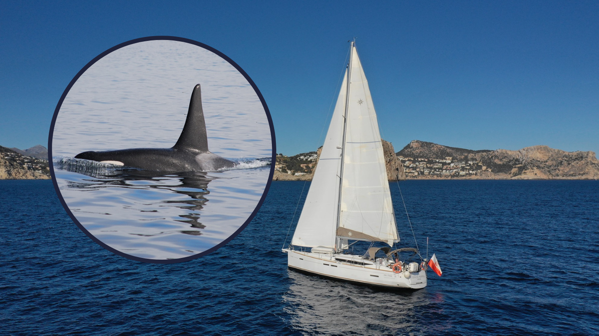 Gibraltar: Orki zatopiły polski jacht. Akcja ratunkowa na morzu