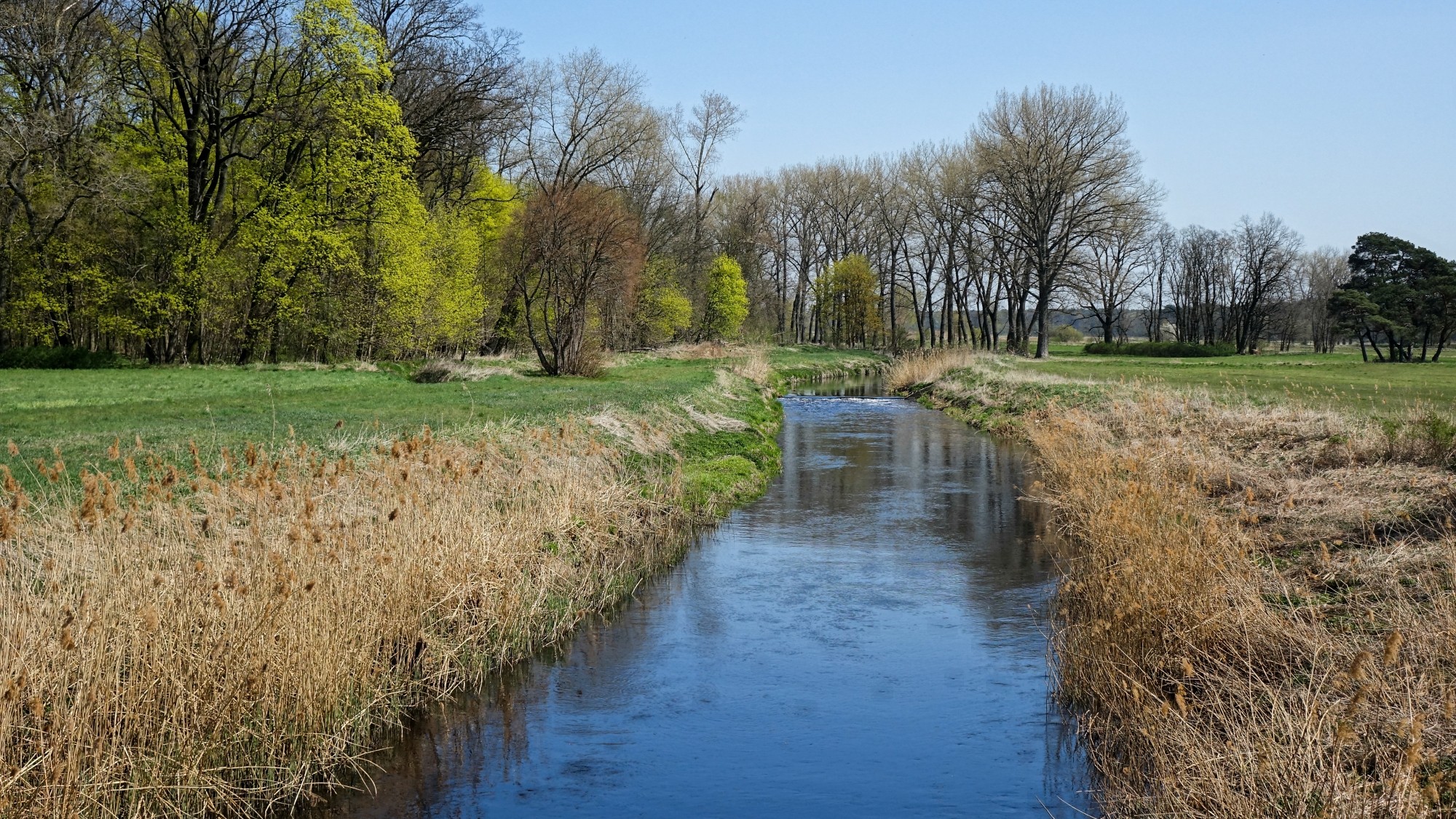 Kwiecień w obiektywie - zdjęcie 18