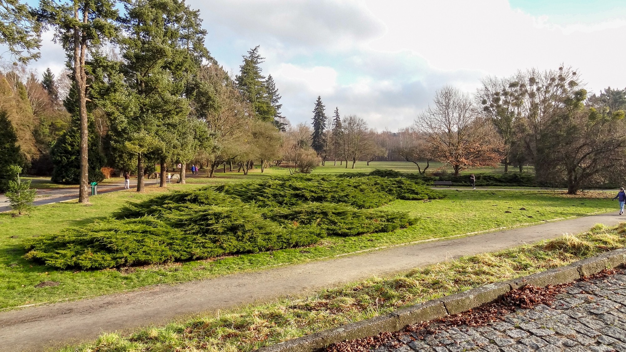 Wiosenna pobudka - zdjęcie 30