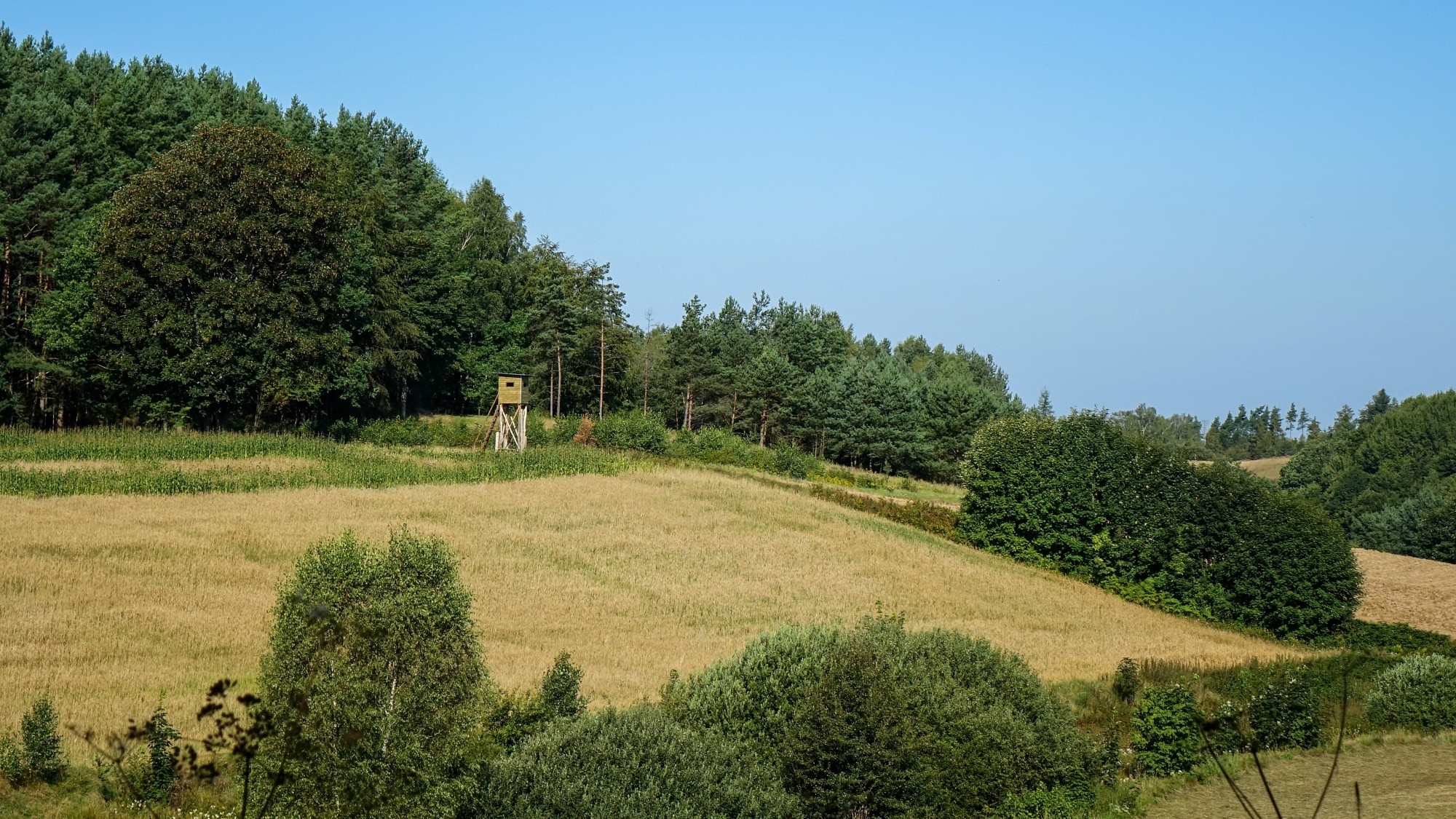Sierpień w obiektywie - zdjęcie 44