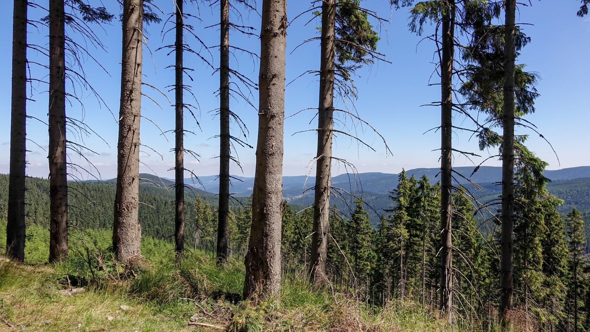 Wakacje minionych lat - zdjęcie 29