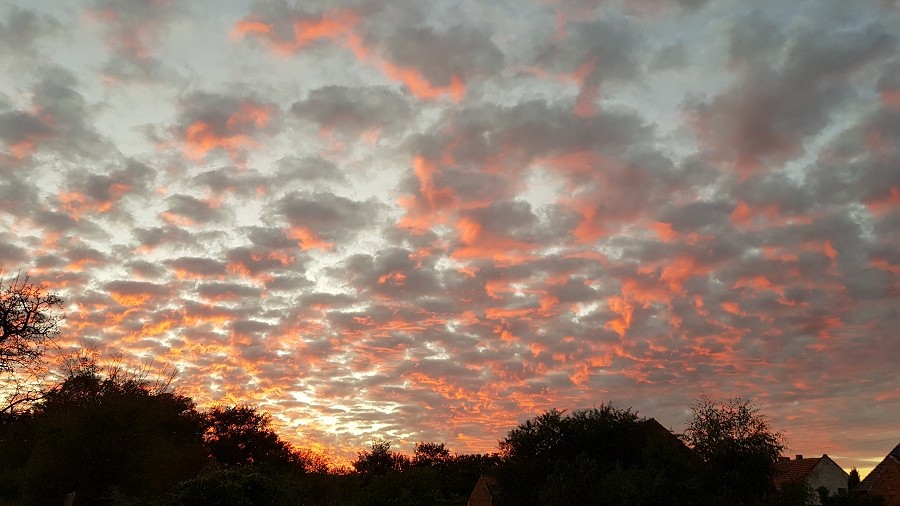 Chmury Stratocumulus o zachodzie Słońca w w Nowym Żabnie w woj. lubuskim. Fot. Jacek Bednarek.