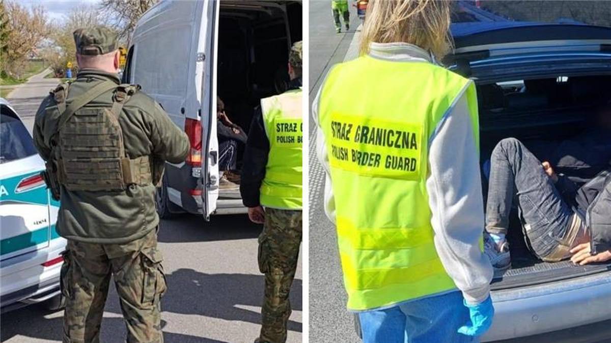 Ukrainiec przewoził 20 Somalijczyków, Polak - Bangliczyków. Akcja służb granicznych