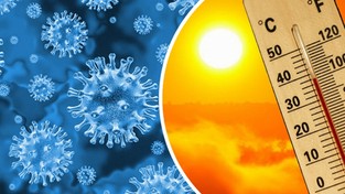 10.03.2020 11:00 Koronawirus nie lubi ciepłej, słonecznej i suchej pogody. Czy zatrzyma globalne ocieplenie?