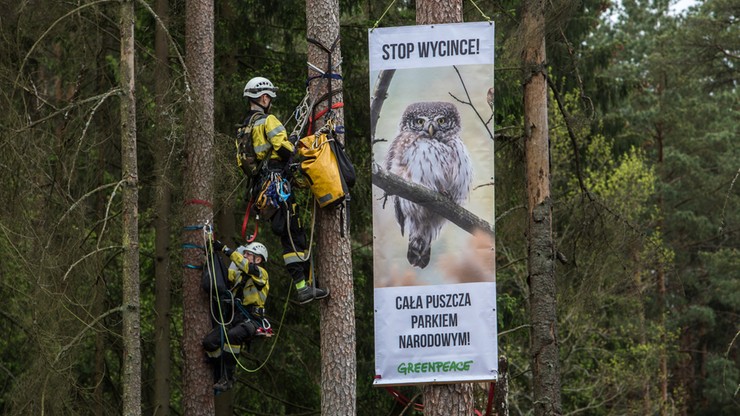 "Tu byłem, Jan Szyszko" - akcja Greenpeace w Puszczy Białowieskiej