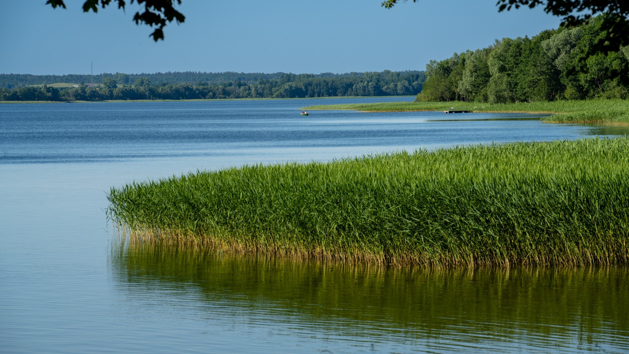 Kolory lata - zdjęcie 31