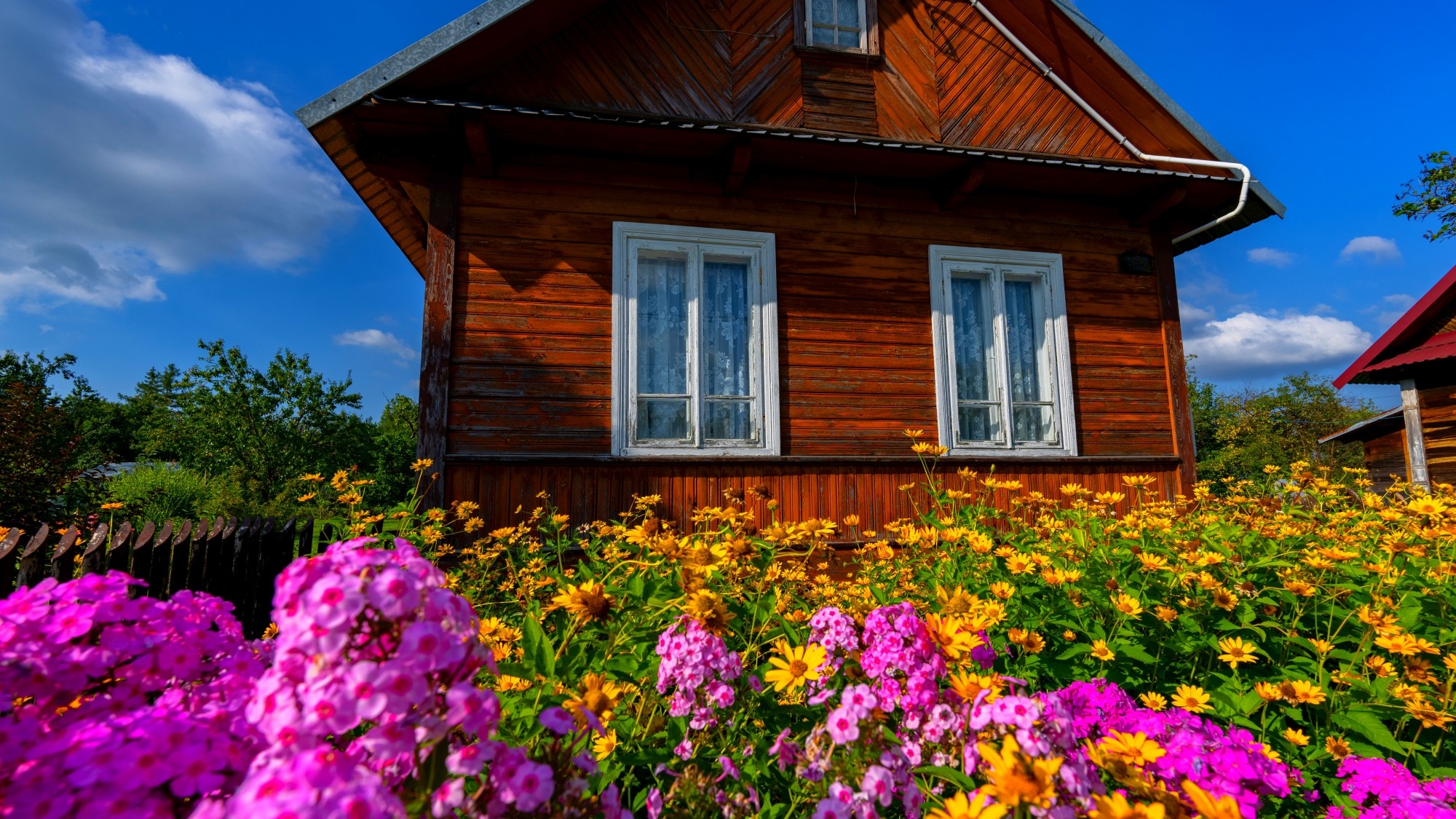 Wśród natury - zdjęcie 13