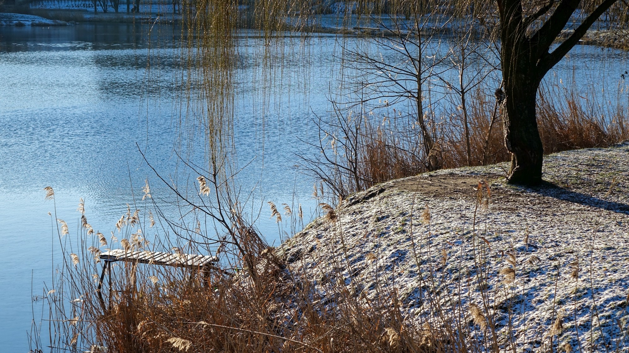 Wypoczynek nad wodą - zdjęcie 63