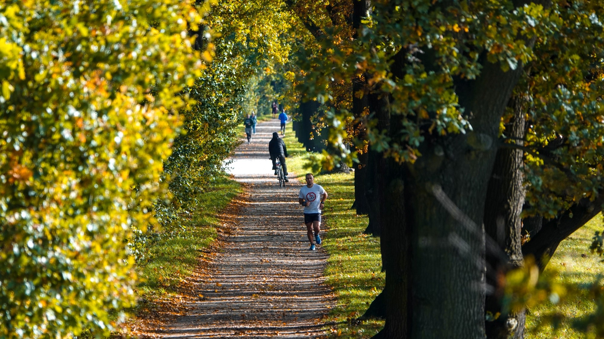 Wszystkie barwy jesieni - zdjęcie 8