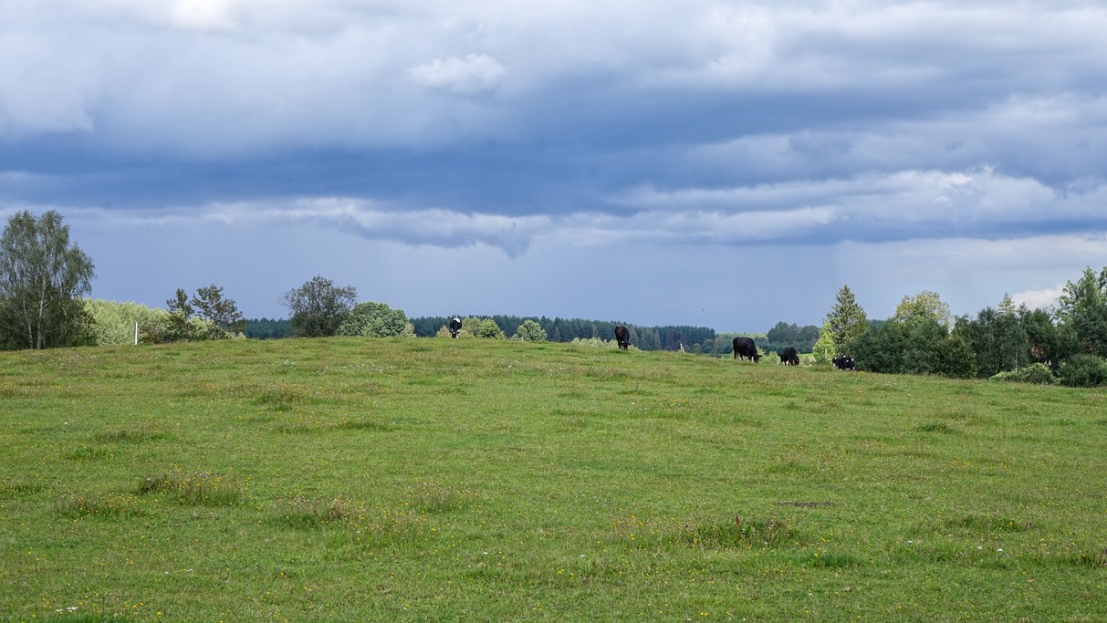 Czerwiec w obiektywie - zdjęcie 26