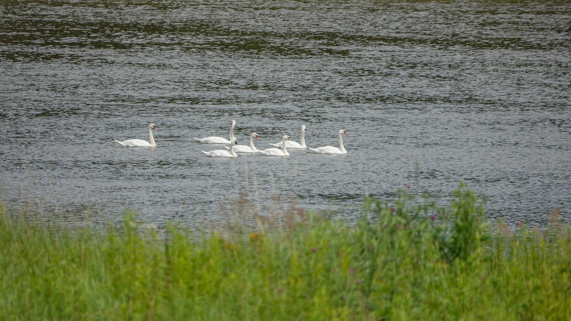 Podróż przez polską prowincję - zdjęcie 37