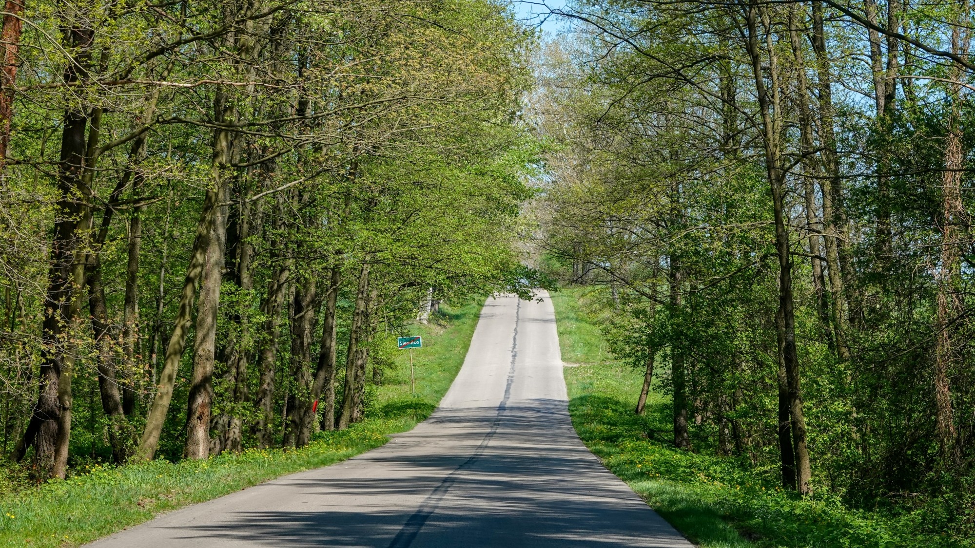 Uroki zielonej pory roku - zdjęcie 39