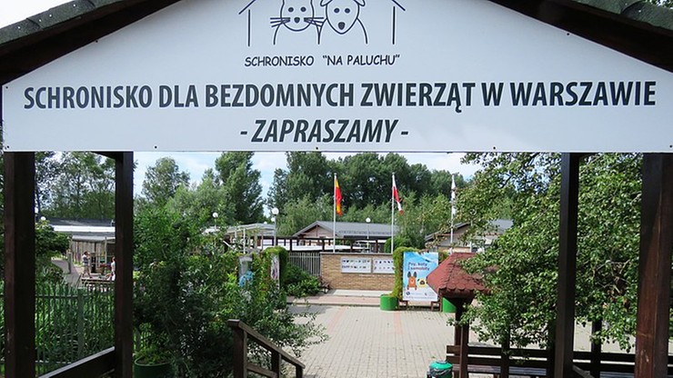 Warszawa. Kontrola w schronisku "Na Paluchu". Niepokój wolontariuszy i radnych KO