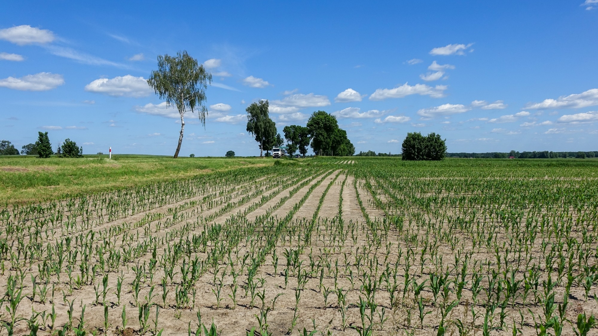 Całe piękno polskiej prowincji - zdjęcie 75