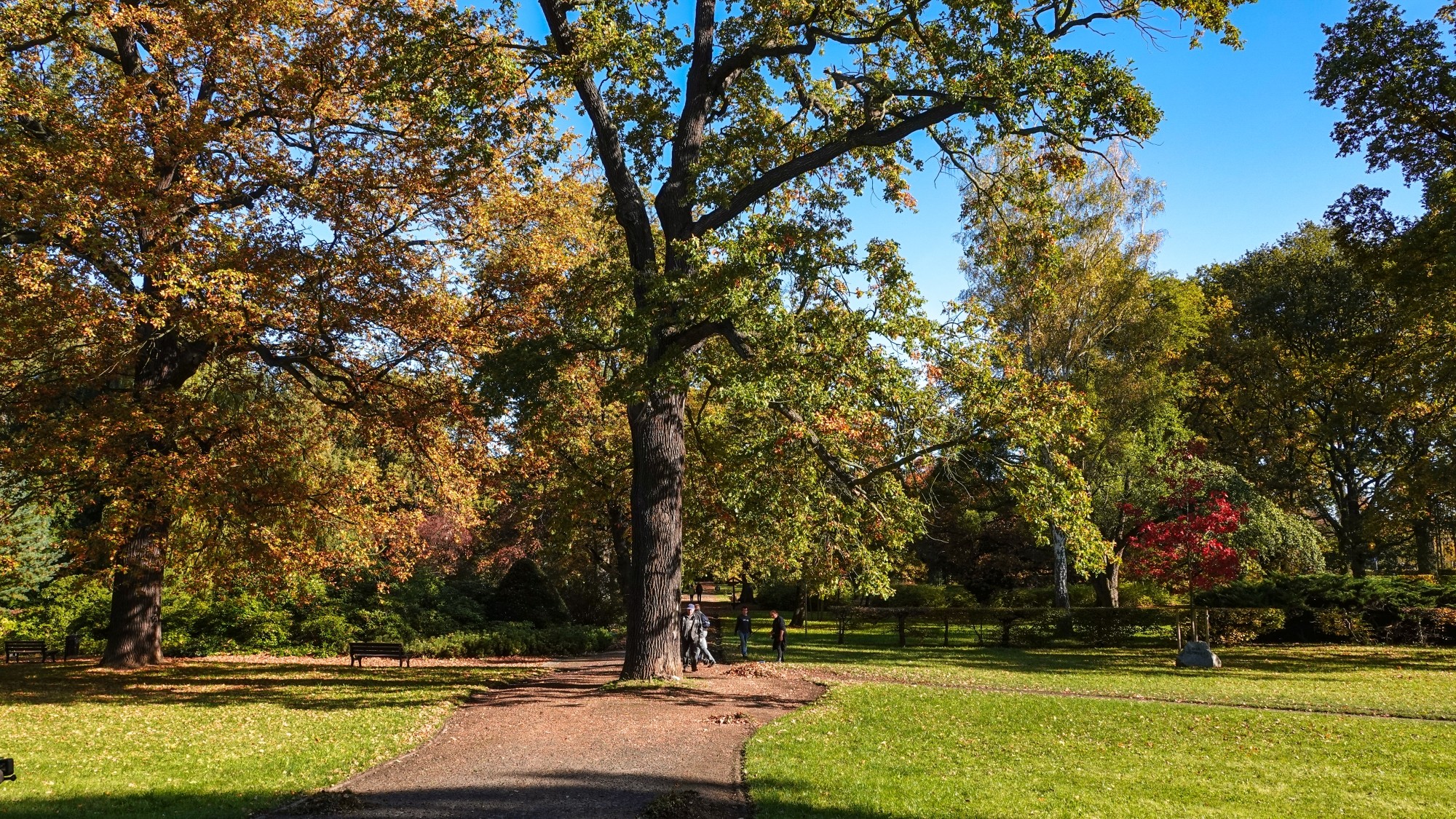 Wszystkie barwy jesieni - zdjęcie 29
