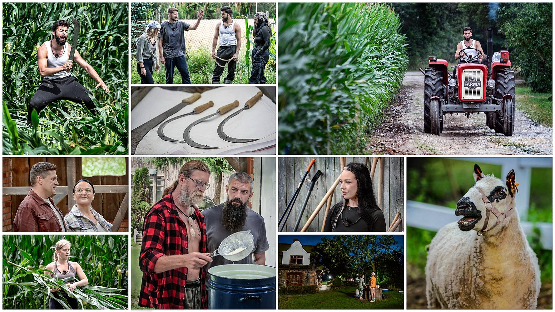 &bdquo;Farma&rdquo; - edycja 5, odcinek 47: Robi się gęsto. Sierpy w dłonie!