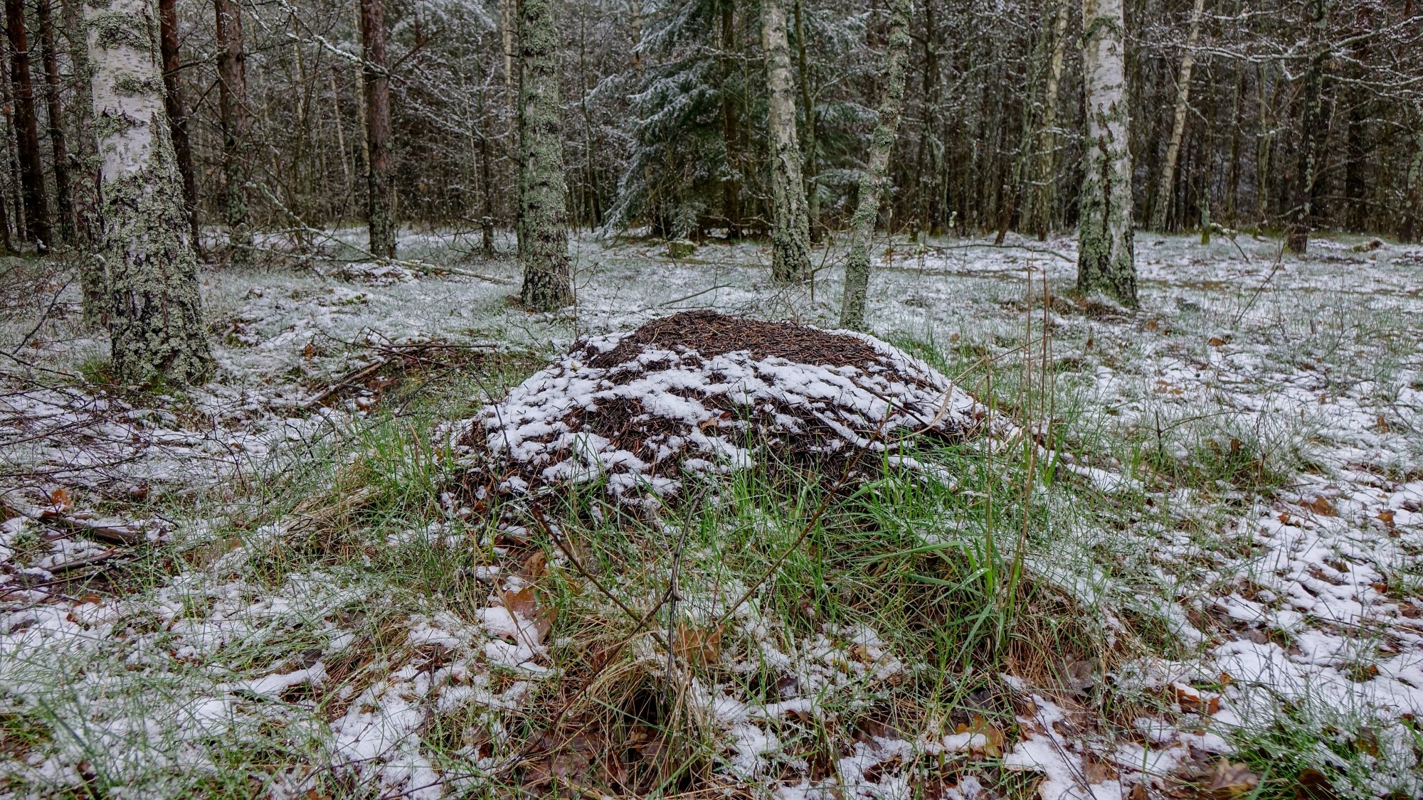 Zima w maju - zdjęcie 13