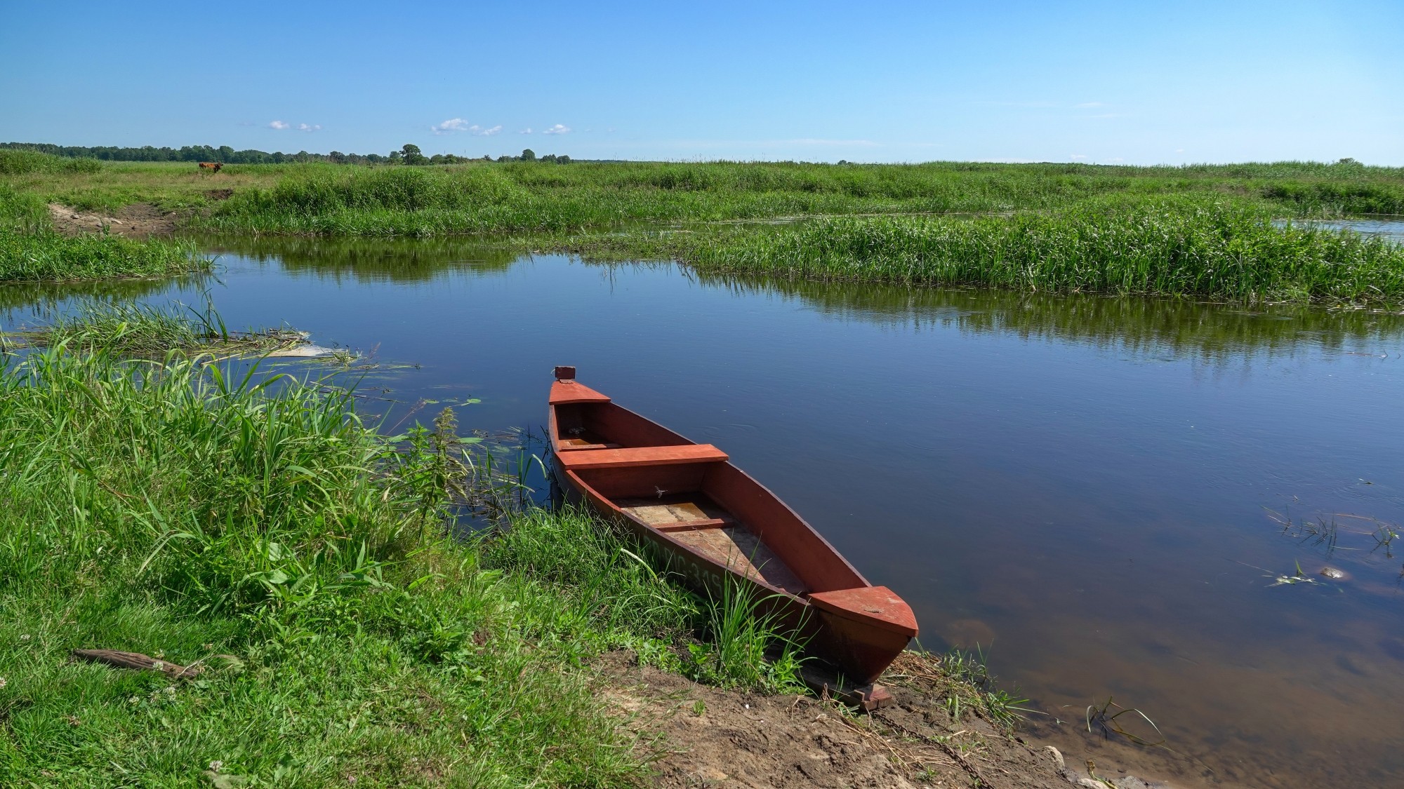 100 najpiękniejszych zdjęć 2021 roku - zdjęcie 78