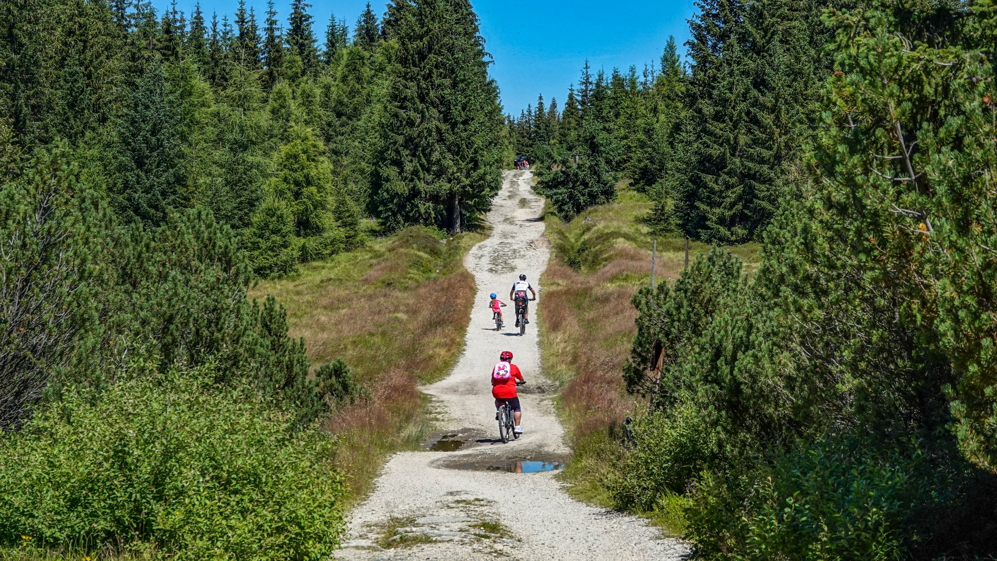 Cztery wakacyjne oblicza Polski - zdjęcie 10