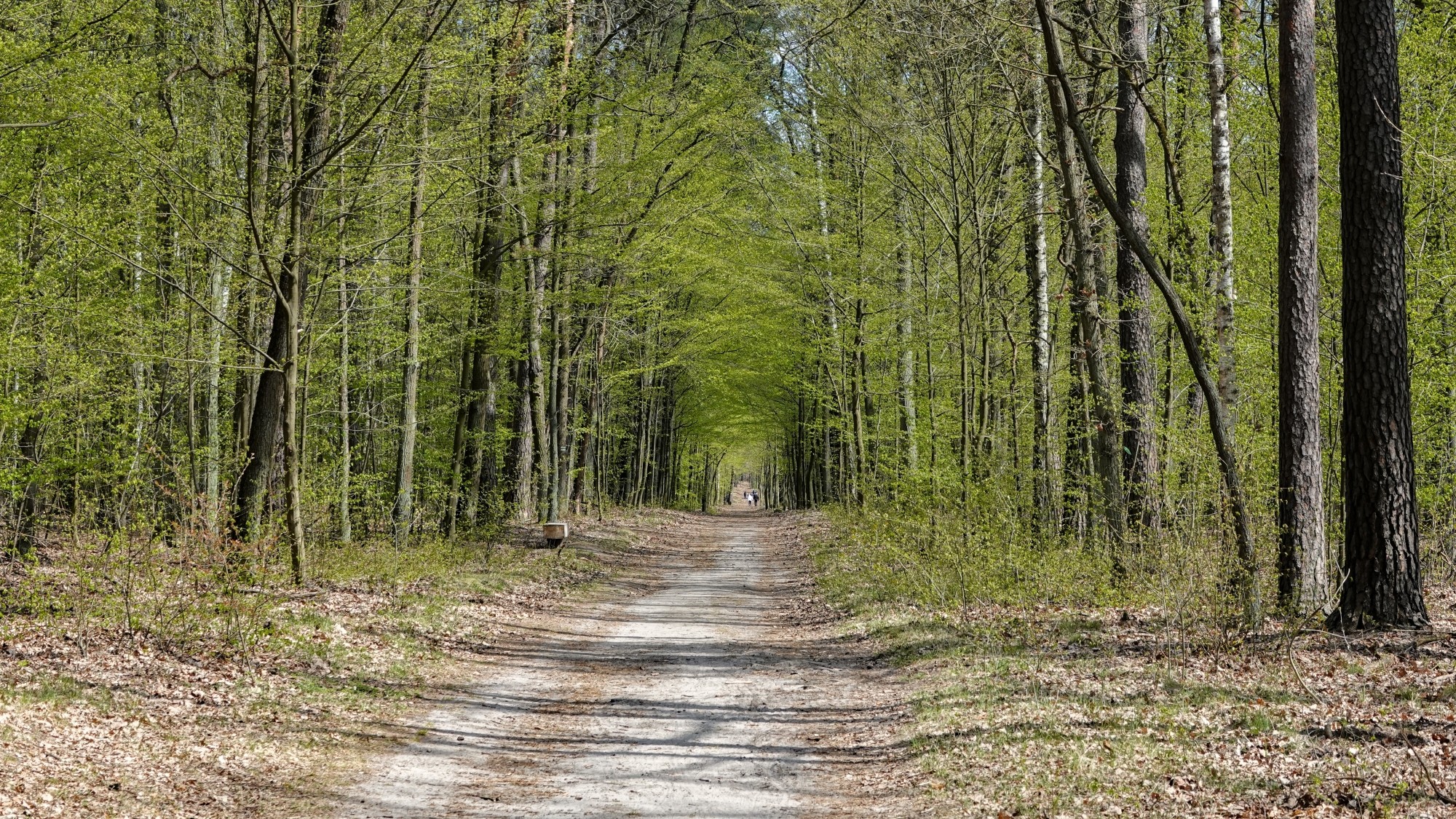 Kwiecień w obiektywie - zdjęcie 7