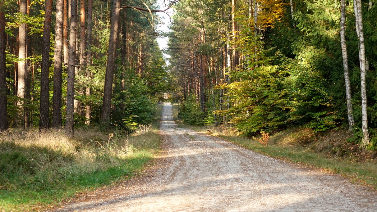 Październik w obiektywie - zdjęcie 16