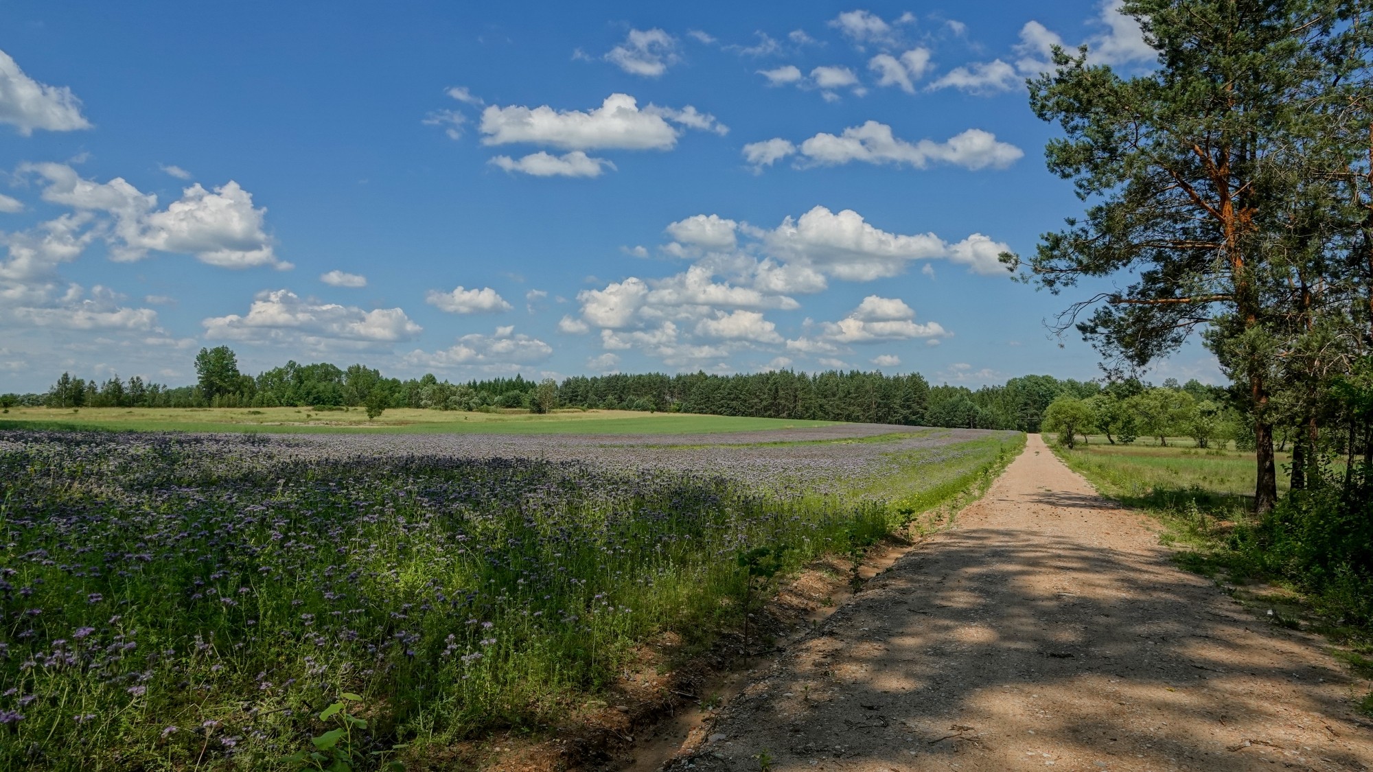 Letnie klimaty na łonie natury - zdjęcie 25