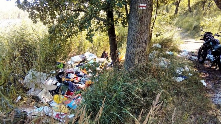 Zdjęcia hałd odpadów pojawiły się w internecie. Strażnicy miejscy namierzyli właściciela śmieci