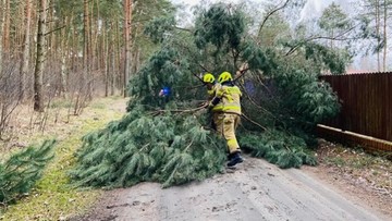 Wichury i burze w Polsce. Ponad 260 interwencji strażaków