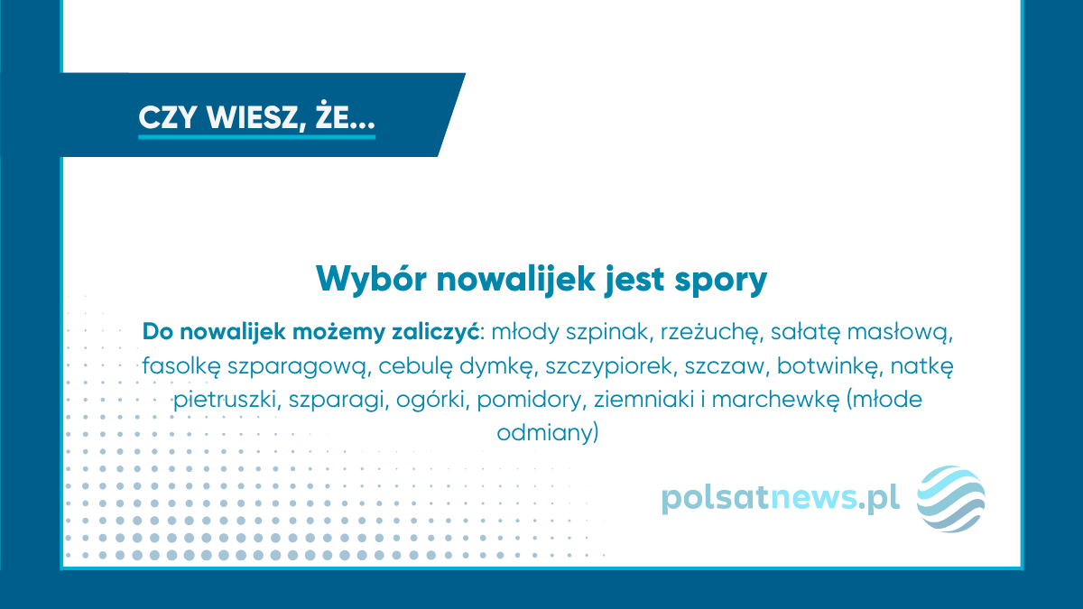 Wybór nowalijek jest spory, obejmuje m.in. szpinak, rzodkiewkę i sałatę