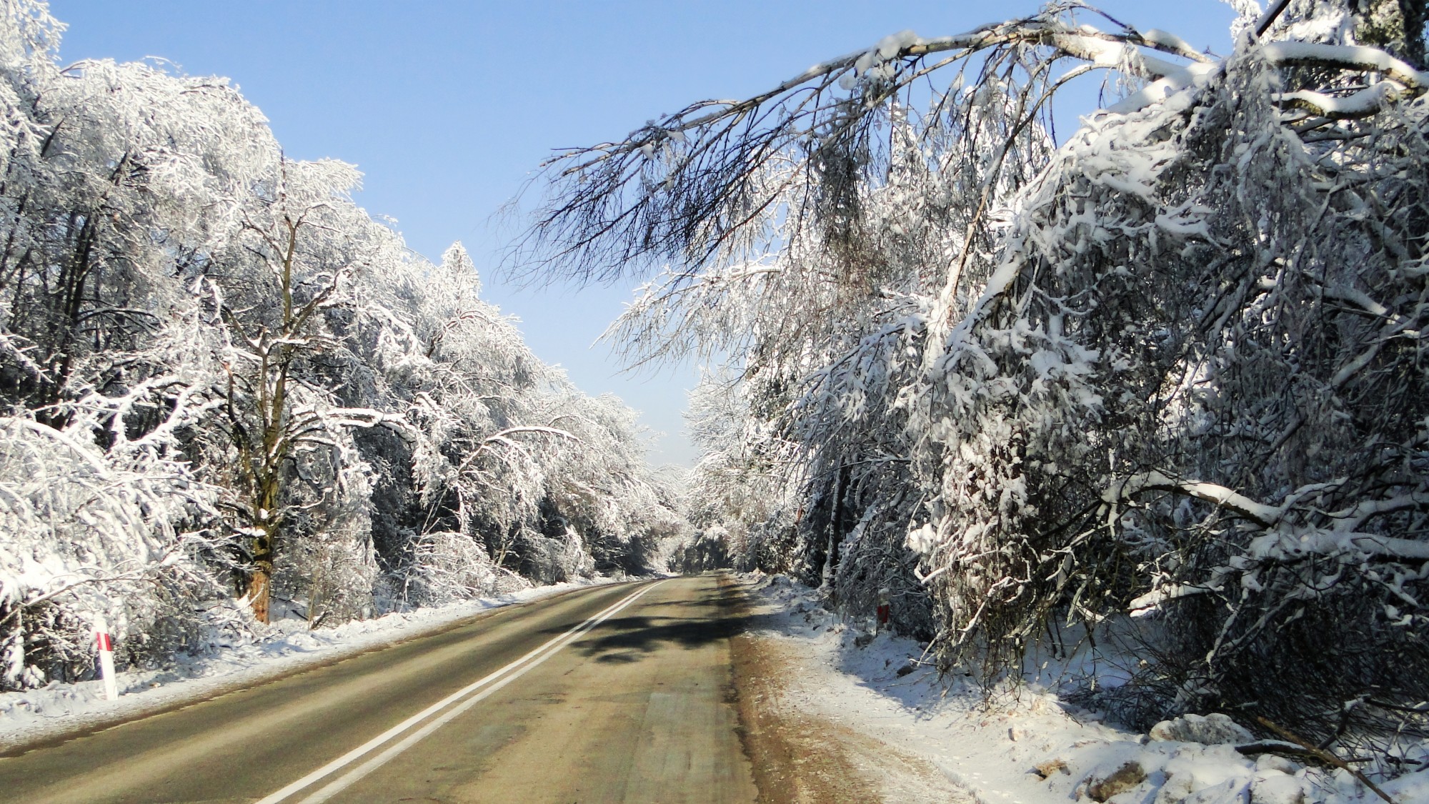 Drogą do raju - zdjęcie 10