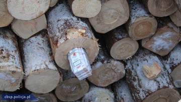 Przemycali papierosy w drewnianych balach. CBŚP przejęło kontrabandę z Białorusi