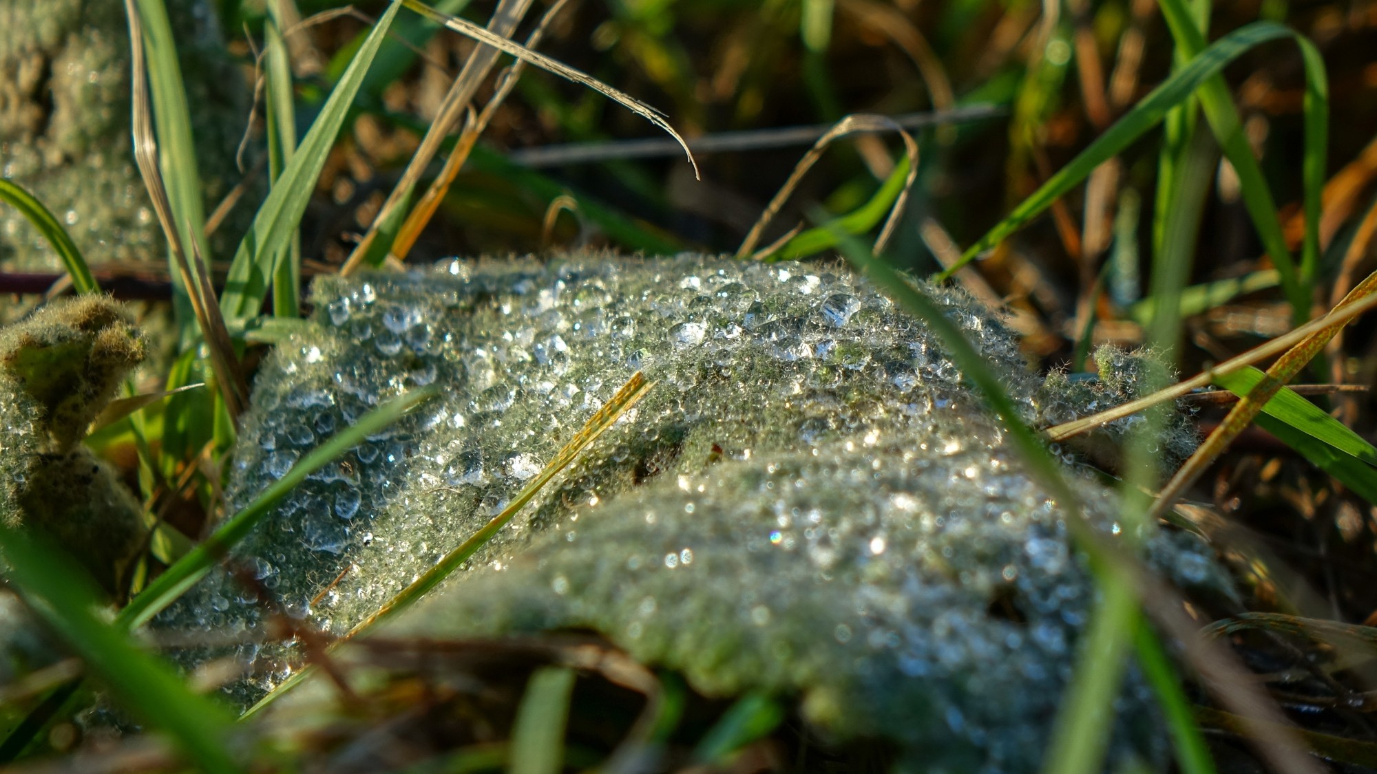 Listopad w obiektywie - zdjęcie 24