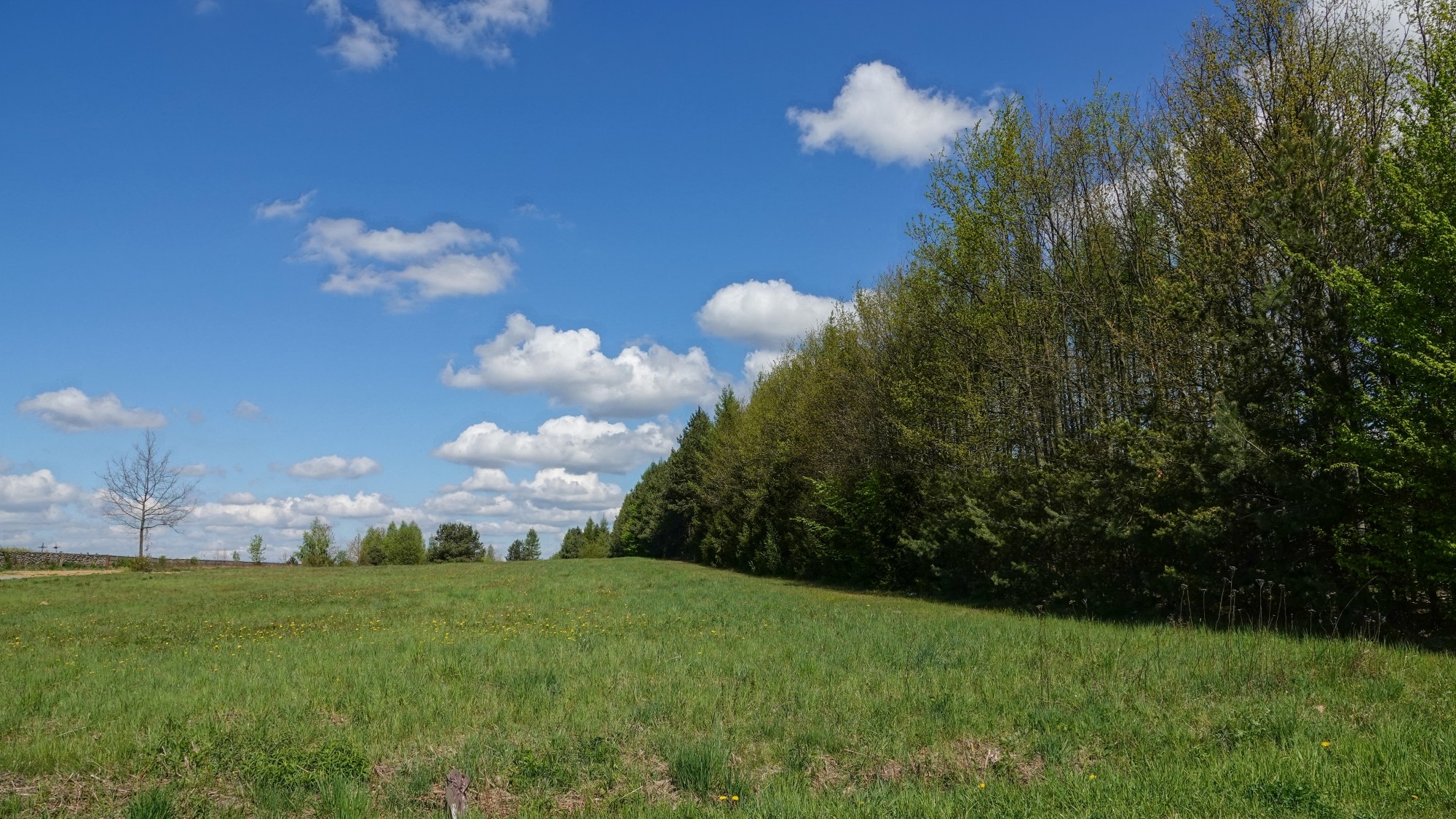 Całe piękno późnej wiosny - zdjęcie 29