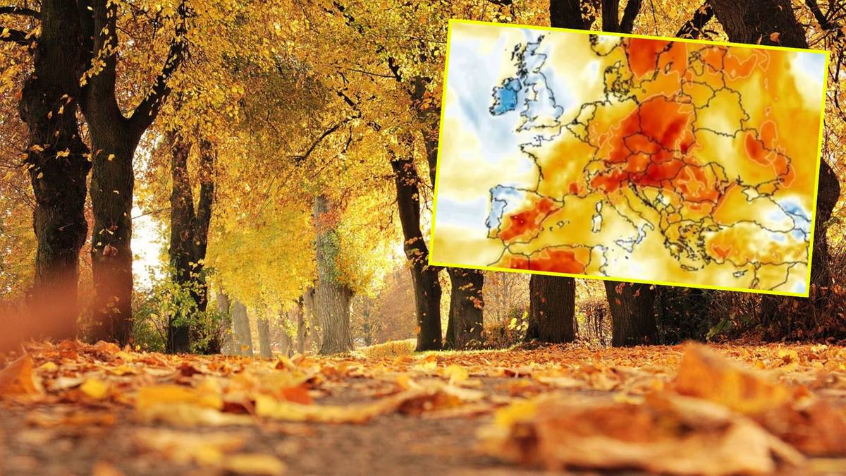 Uderzenie ciepła we Wszystkich Świętych, a potem nagły zwrot. Najnowsza prognoza