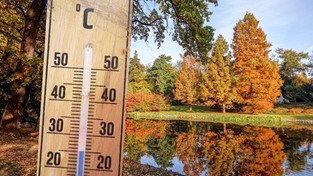 11.10.2022 06:00 Babie lato może potrwać nawet do listopada? Na termometrach powyżej 25 stopni w cieniu