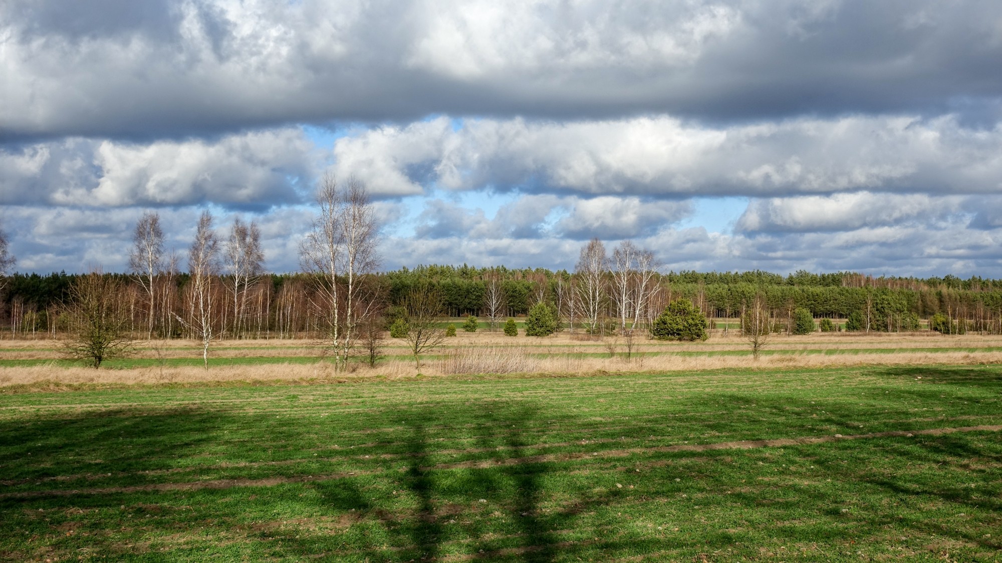 Najcieplejsza zima w historii - zdjęcie 34