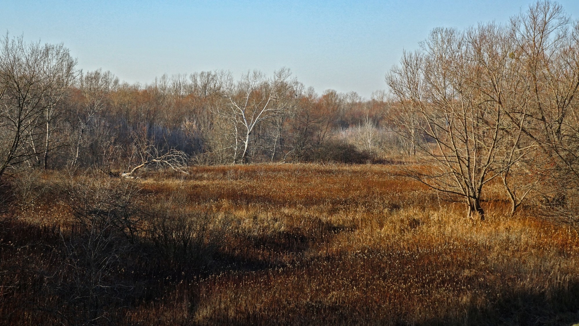 Listopad w obiektywie - zdjęcie 39