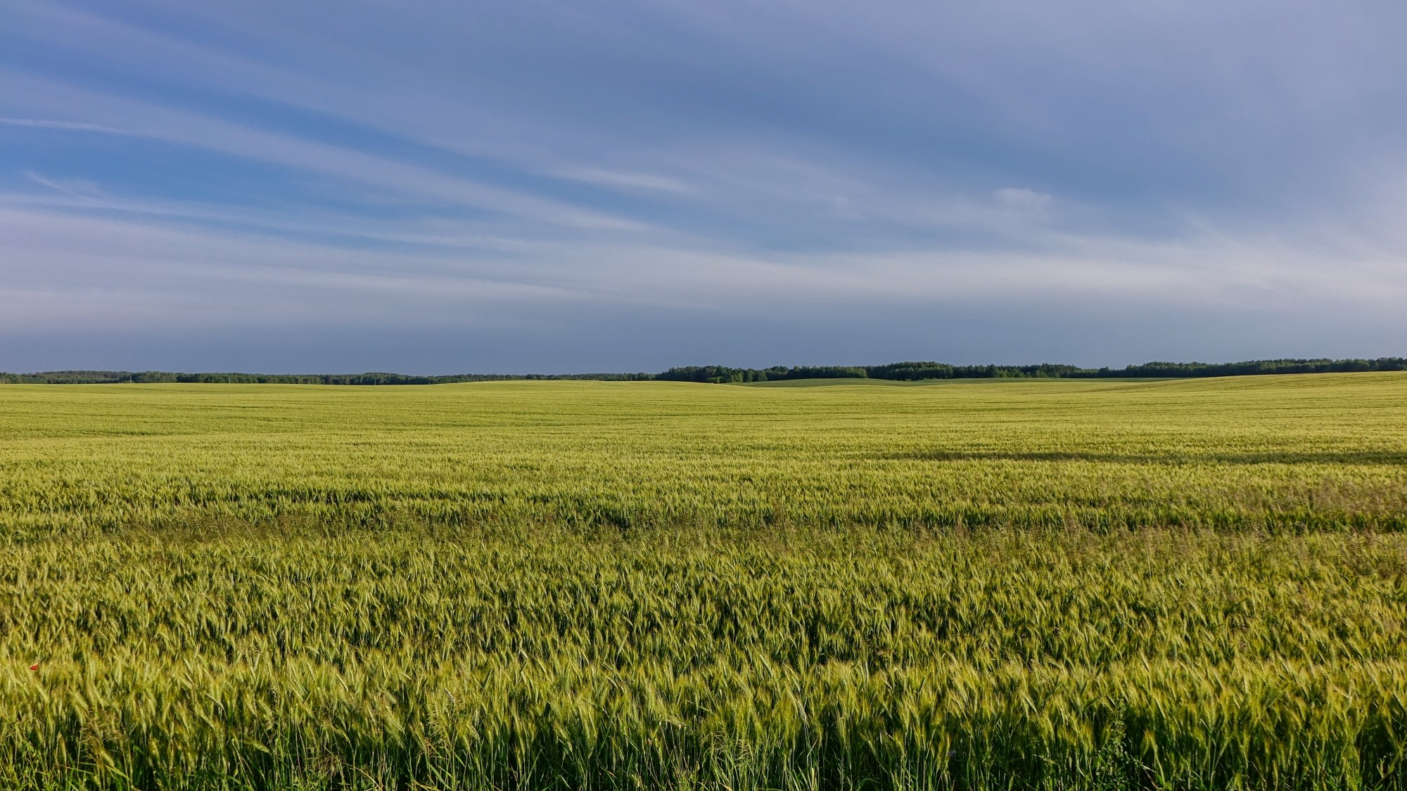 Wakacje minionych lat - zdjęcie 43