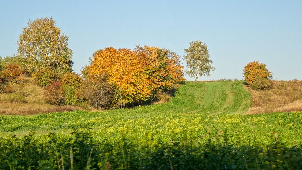 Podróż przez jesienną Polskę - zdjęcie 29