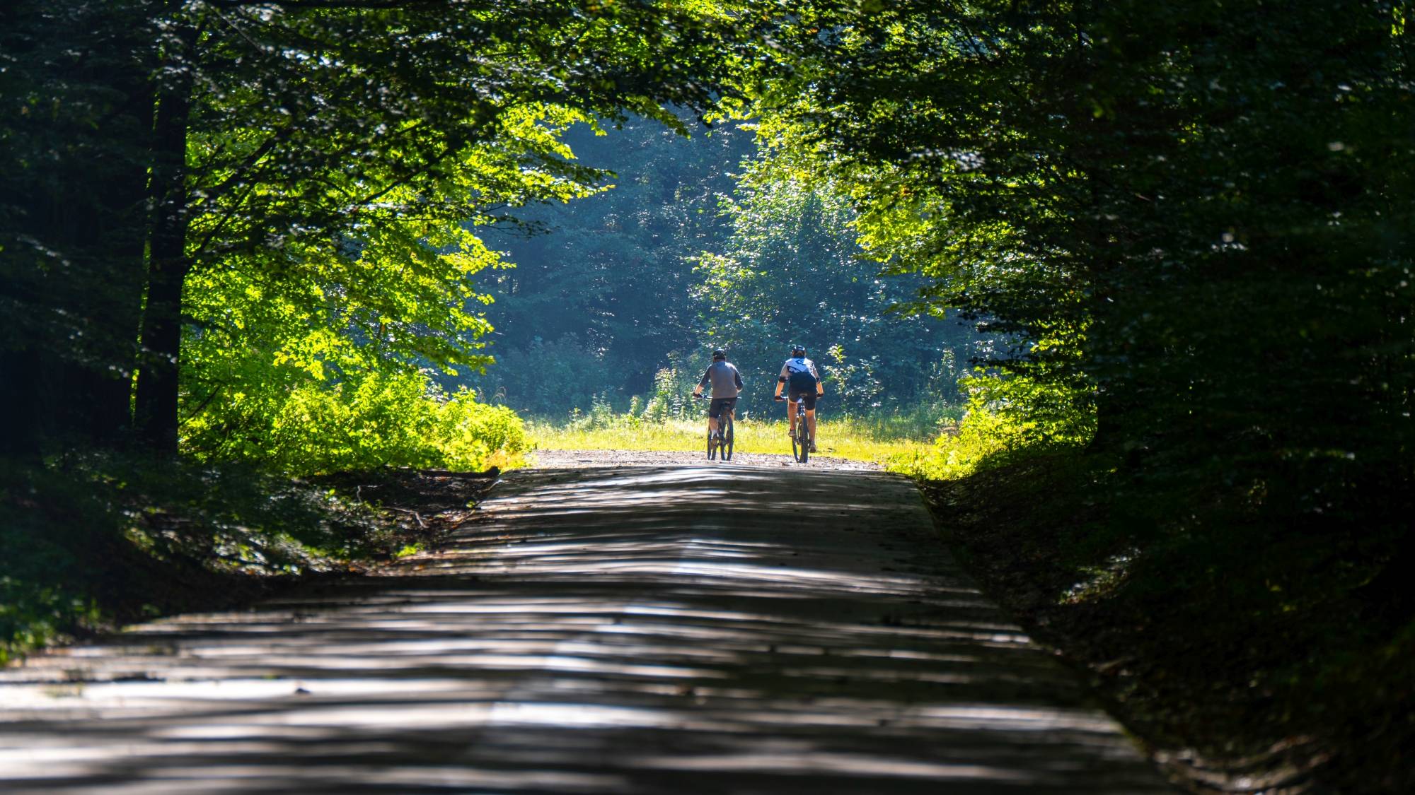 Kolory lata - zdjęcie 20